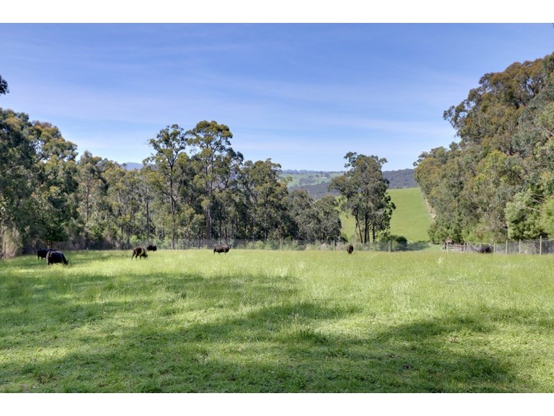 520 Beenak Road, Yellingbo VIC 3139