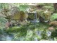 520 Beenak Road, Yellingbo VIC 3139