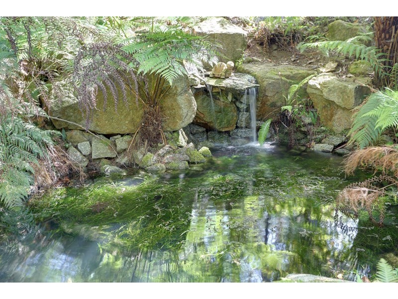 520 Beenak Road, Yellingbo VIC 3139