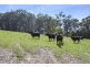 520 Beenak Road, Yellingbo VIC 3139