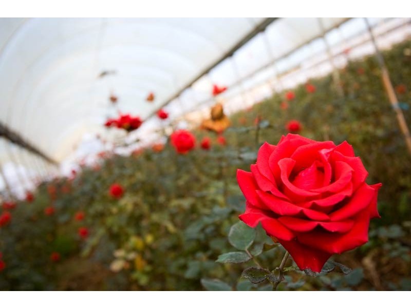 172 Old Emerald Road, Monbulk VIC 3793