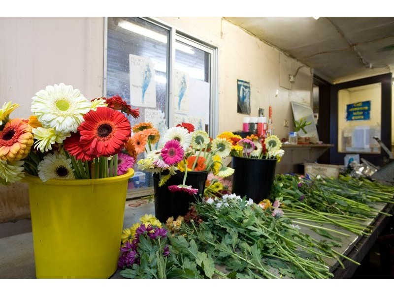 172 Old Emerald Road, Monbulk VIC 3793