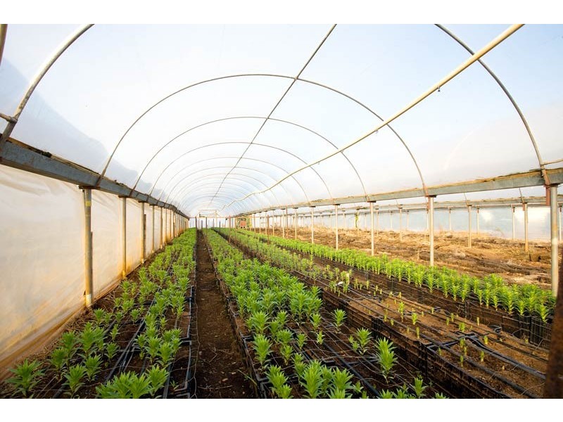 172 Old Emerald Road, Monbulk VIC 3793