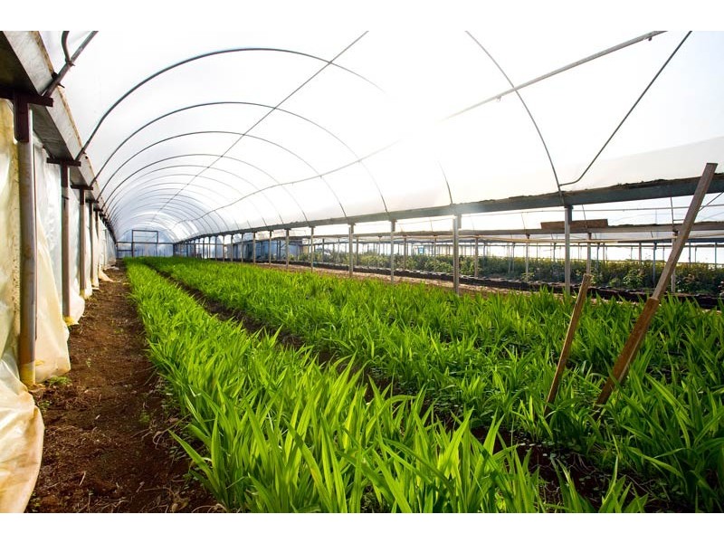 172 Old Emerald Road, Monbulk VIC 3793