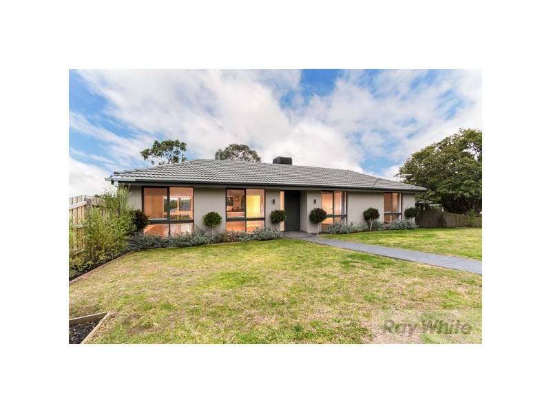41 Vista Drive, Chirnside Park VIC 3116