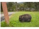 131 Hodges Road, Healesville VIC 3777