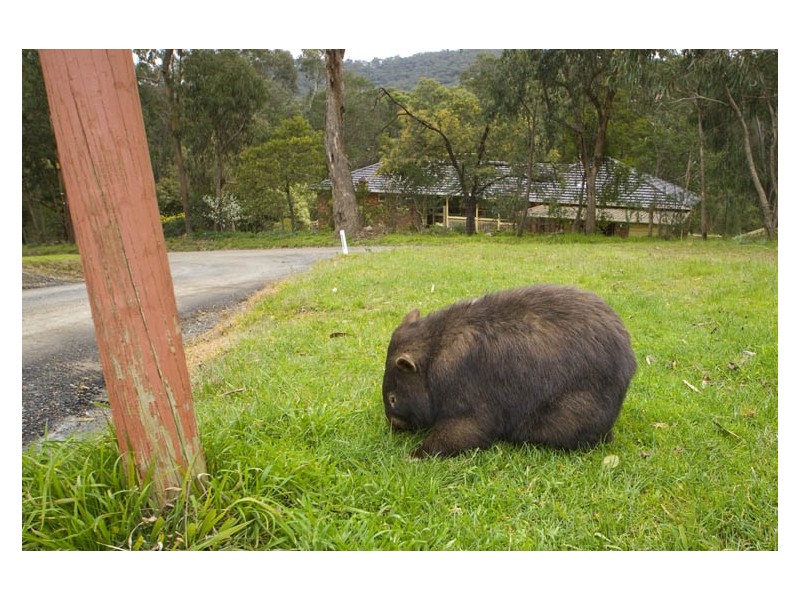 131 Hodges Road, Healesville VIC 3777