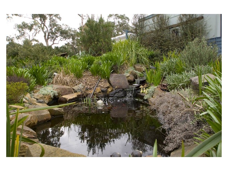 131 Hodges Road, Healesville VIC 3777