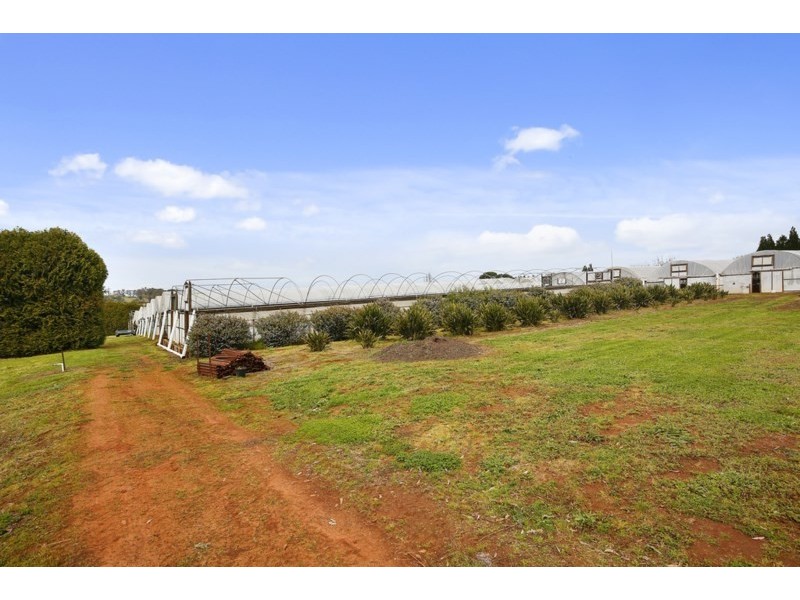 16 Wiseman Road, Silvan VIC 3795