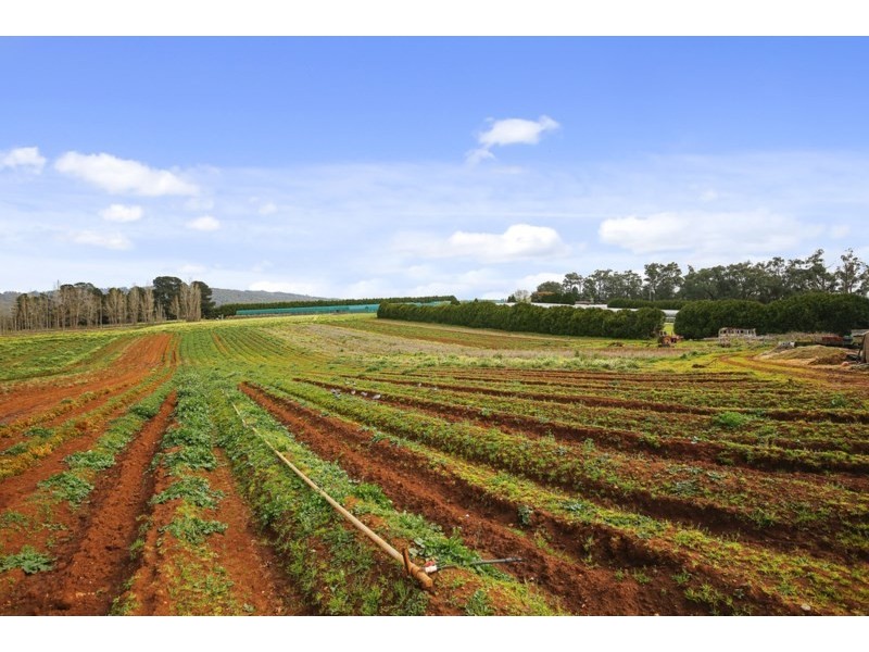 16 Wiseman Road, Silvan VIC 3795