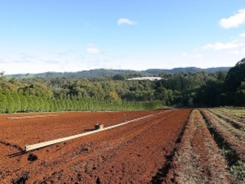 230 Old Emerald Road, Monbulk VIC 3793