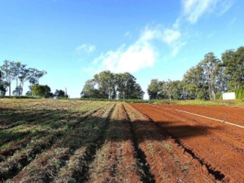 230 Old Emerald Road, Monbulk VIC 3793