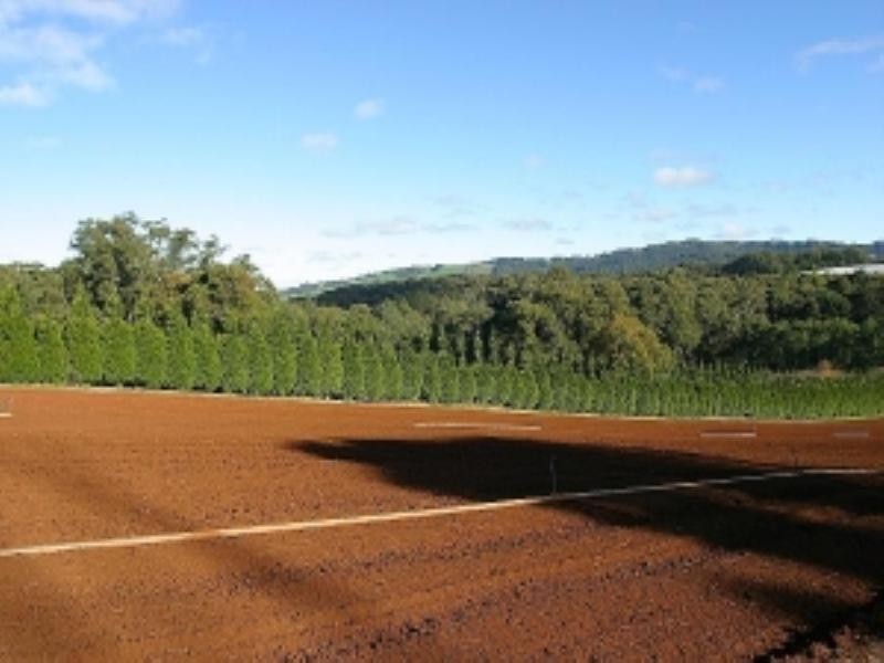 230 Old Emerald Road, Monbulk VIC 3793