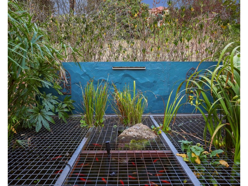 7 Water Lily Lane, Lilydale VIC 3140