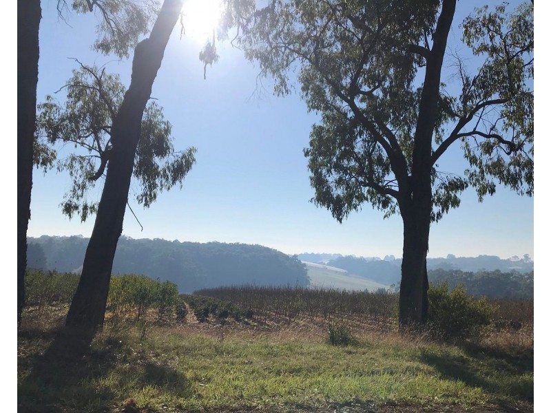 16 Wiseman Road, Silvan VIC 3795