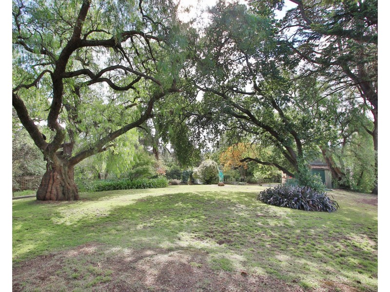 428 Main Street, Lilydale VIC 3140