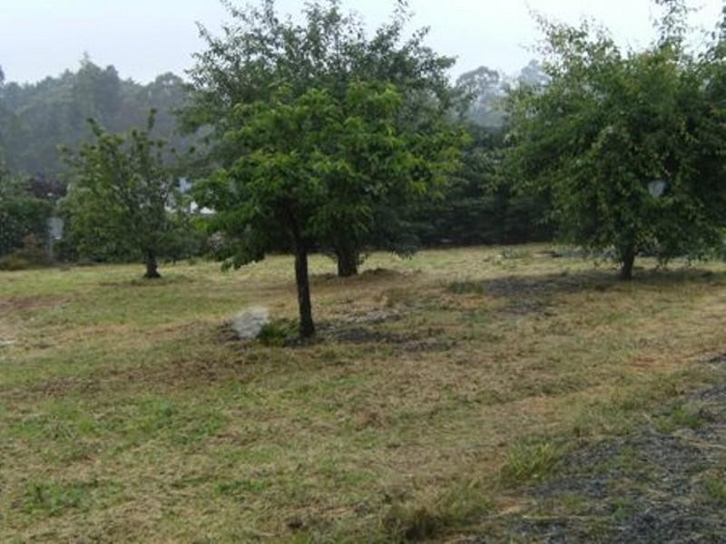 22 Rue De Gare, Wandin North VIC 3139