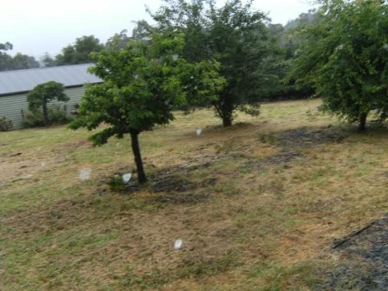 22 Rue De Gare, Wandin North VIC 3139