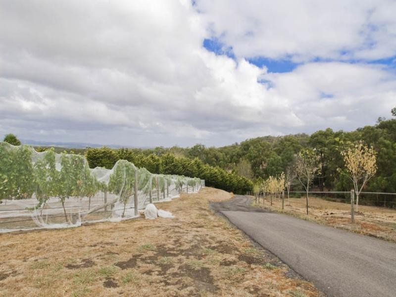 141 Killara Road, Gruyere VIC 3770