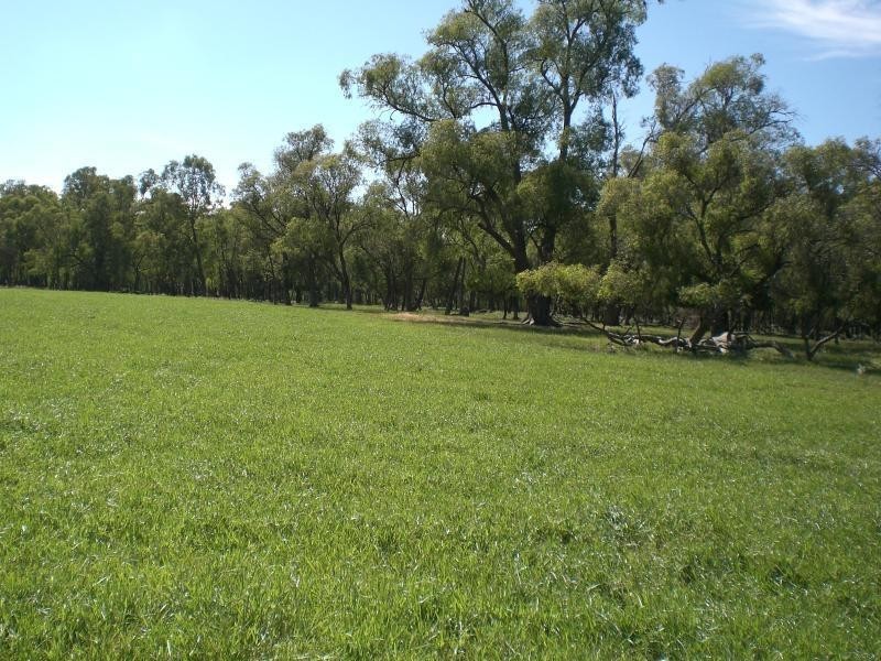 Lot 5/20 Maddens Lane, Coldstream VIC 3770