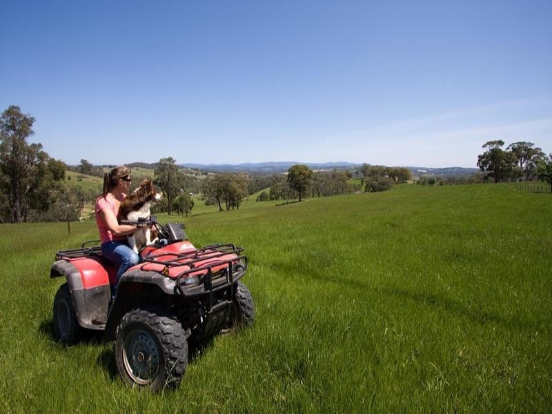 65 Longs Road, Yellingbo VIC 3139