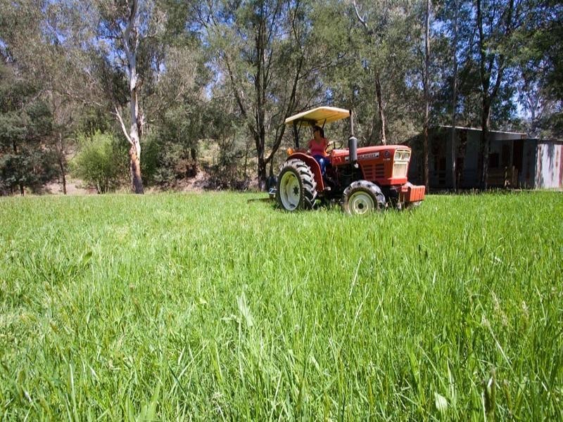 65 Longs Road, Yellingbo VIC 3139