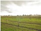 510 Yarra Glen Healesville Road, Yarra Glen VIC 3775