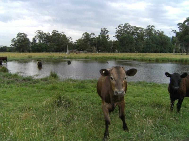 270 Settlement Road, Yarra Junction VIC 3797