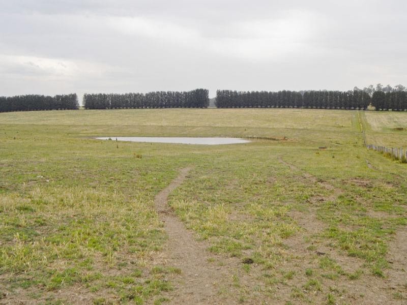 Lot 1,2,4,5 Hyde Park Road, Coldstream VIC 3770