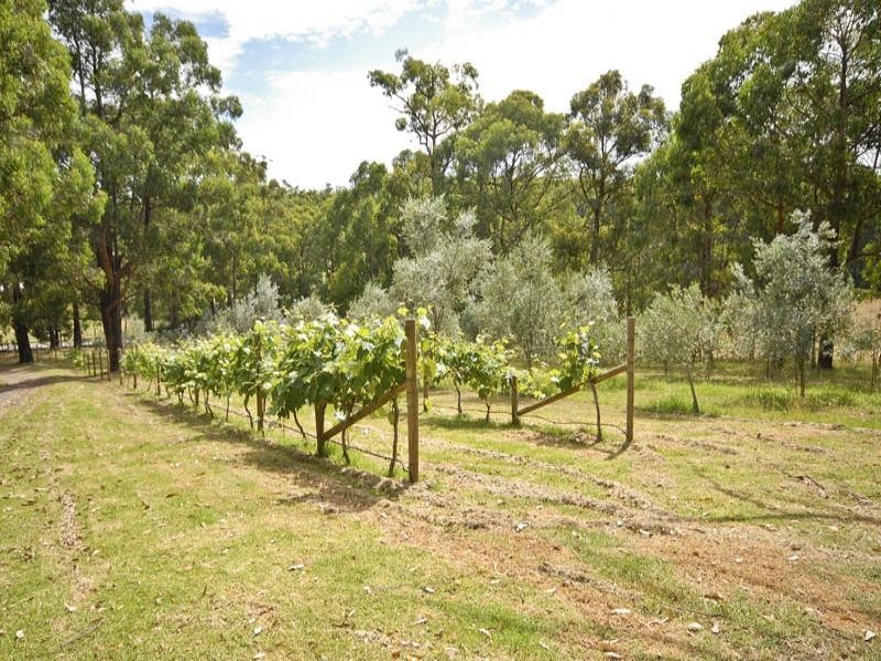 75 Sylvia Road, Hoddles Creek VIC 3139