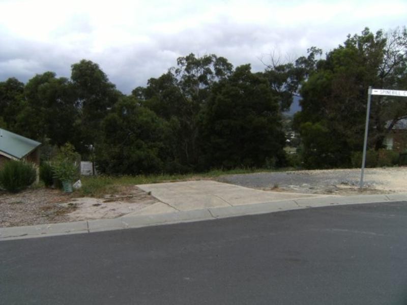 13 Wattlebird Way, Healesville VIC 3777
