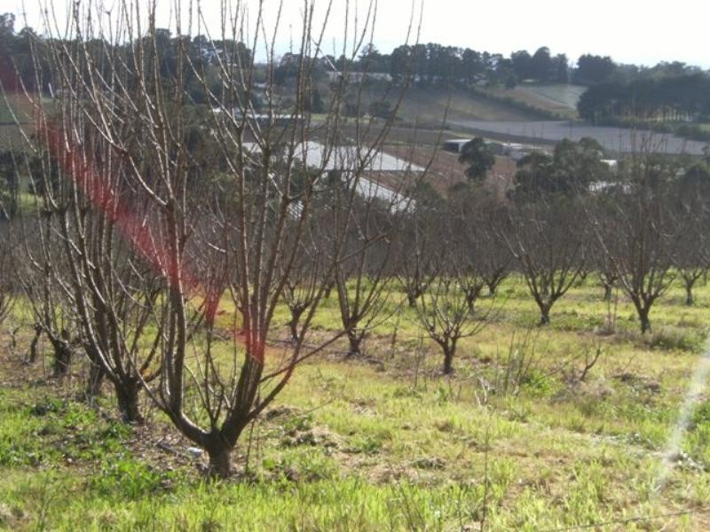 Lot 1 Chapman Road, Silvan VIC 3795