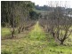 Lot 2 Chapman Road, Silvan VIC 3795