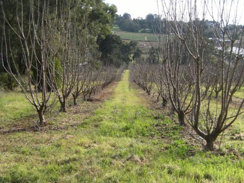 Lot 2 Chapman Road, Silvan VIC 3795