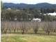 Lot 2 Chapman Road, Silvan VIC 3795