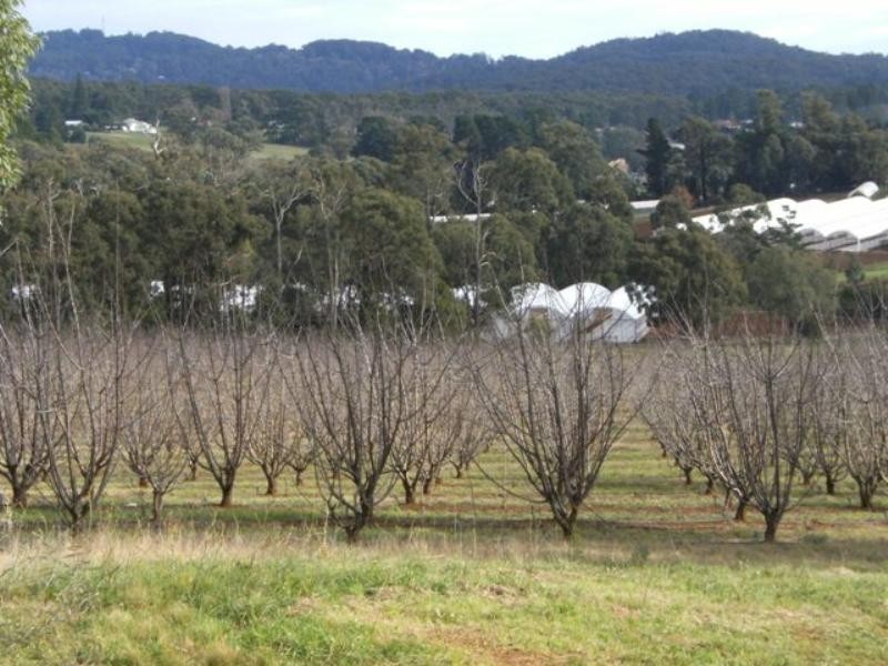 Lot 2 Chapman Road, Silvan VIC 3795