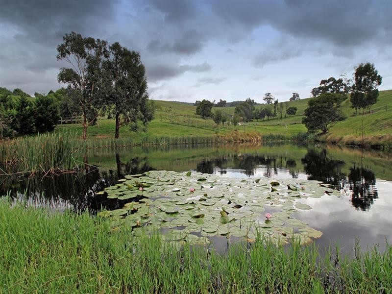 579 Healesville-Kooweerup Road, Healesville VIC 3777