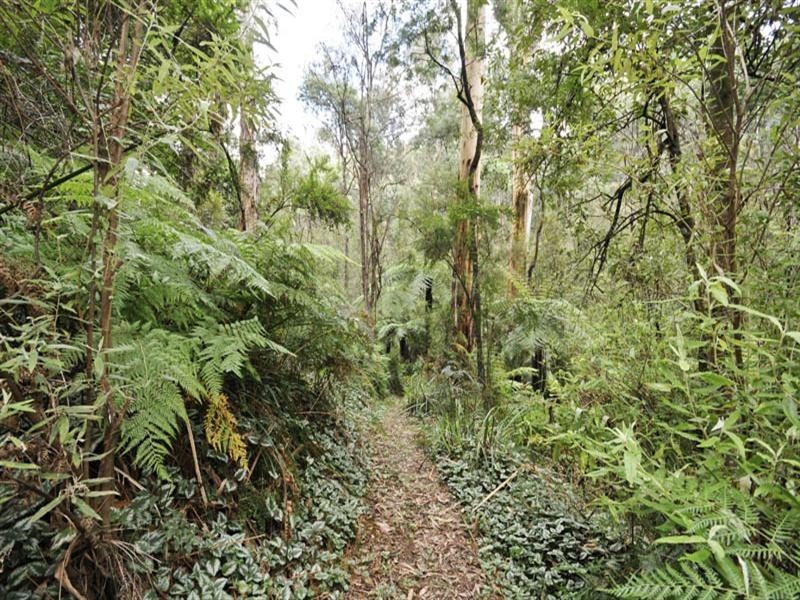 38 Priestley Crescent, Mount Evelyn VIC 3796