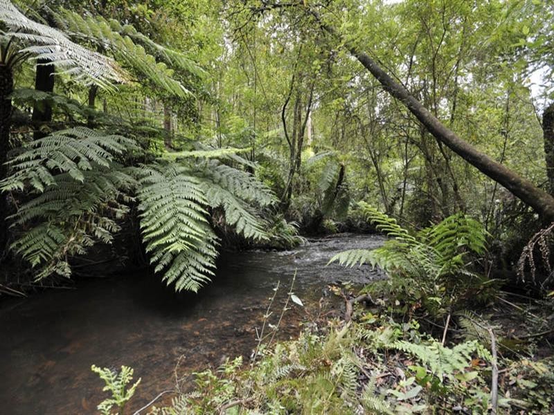 38 Priestley Crescent, Mount Evelyn VIC 3796