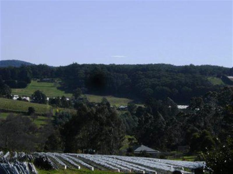 51 Wiseman Road, Silvan VIC 3795