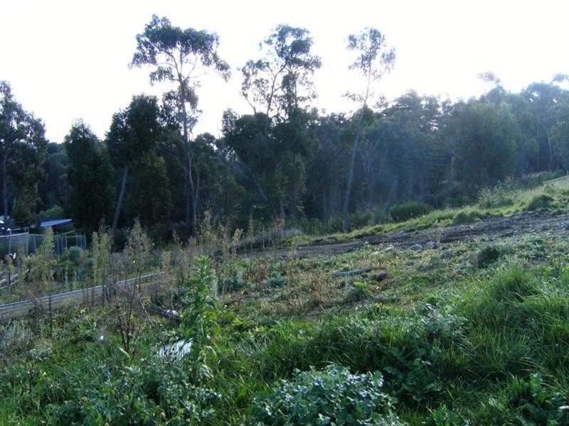 8 Grand View Grove, Lilydale VIC 3140