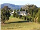 49 Pine Avenue, Healesville VIC 3777
