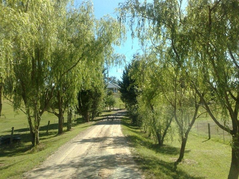 49 Pine Avenue, Healesville VIC 3777