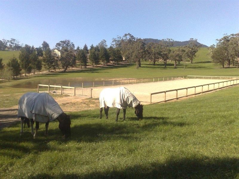 49 Pine Avenue, Healesville VIC 3777