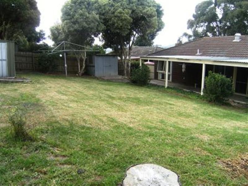 44 Carroll Street, Woori Yallock VIC 3139