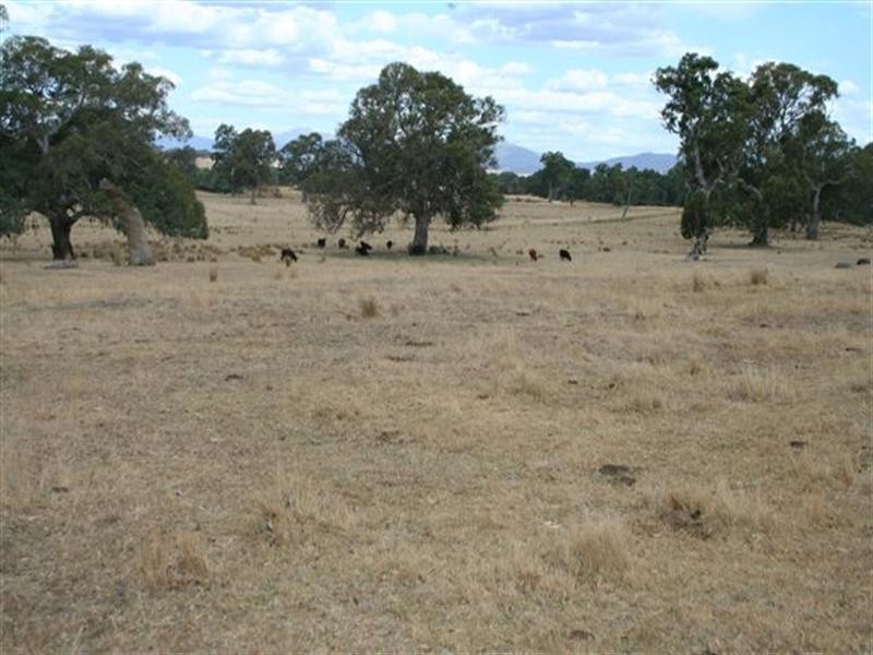 1 Withers Lane, Mansfield VIC 3722