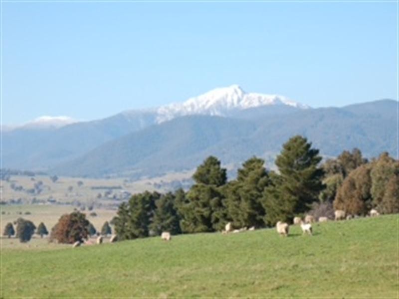 1 Withers Lane, Mansfield VIC 3722