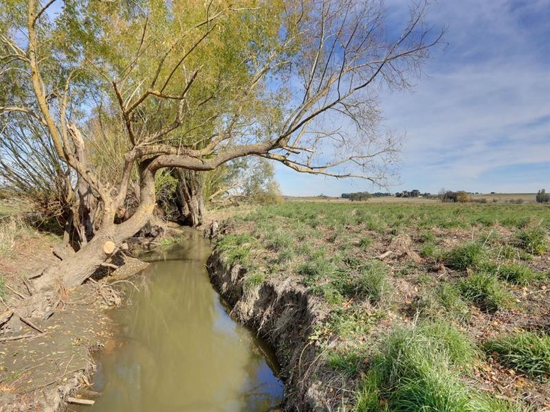 20-22 MacIntyre Lane, Yering VIC 3770