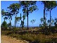Lot 11 Howlands Road, Ilbilbie QLD 4738