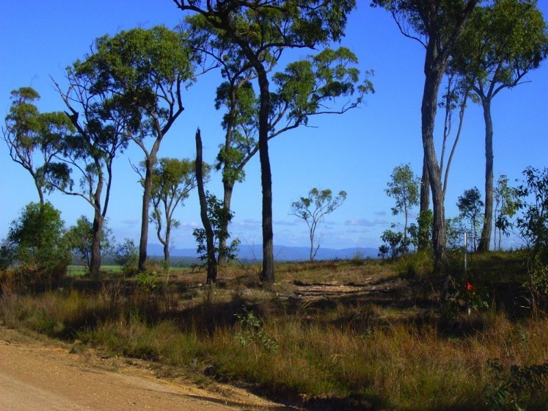 Lot 11 Howlands Road, Ilbilbie QLD 4738